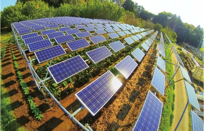 太阳能支架